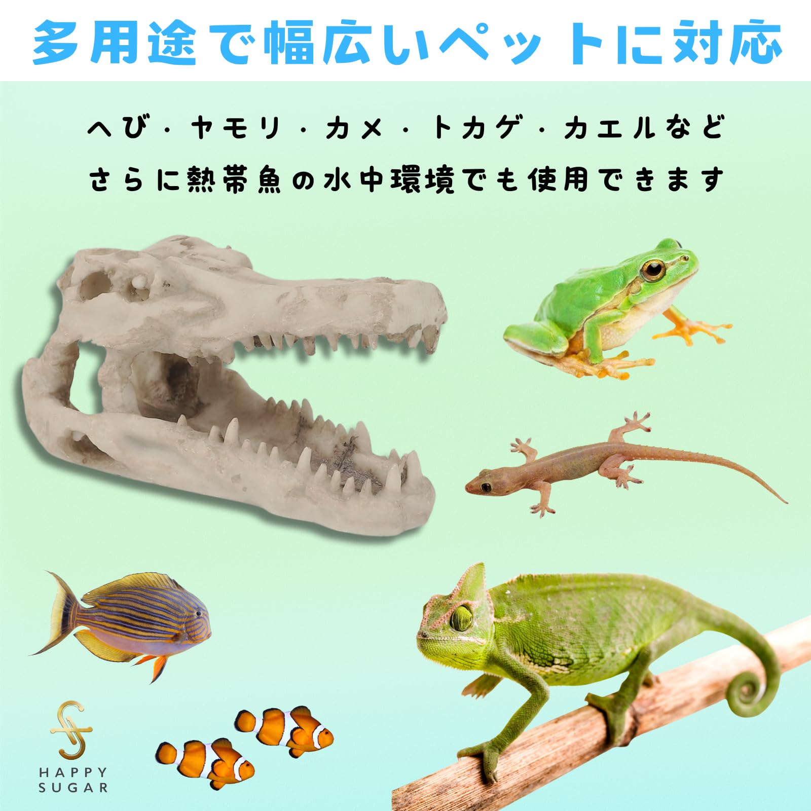 Amazon | HAPPY SUGAR メダカ 隠れ家 爬虫類 シェルター トンネル 洞窟